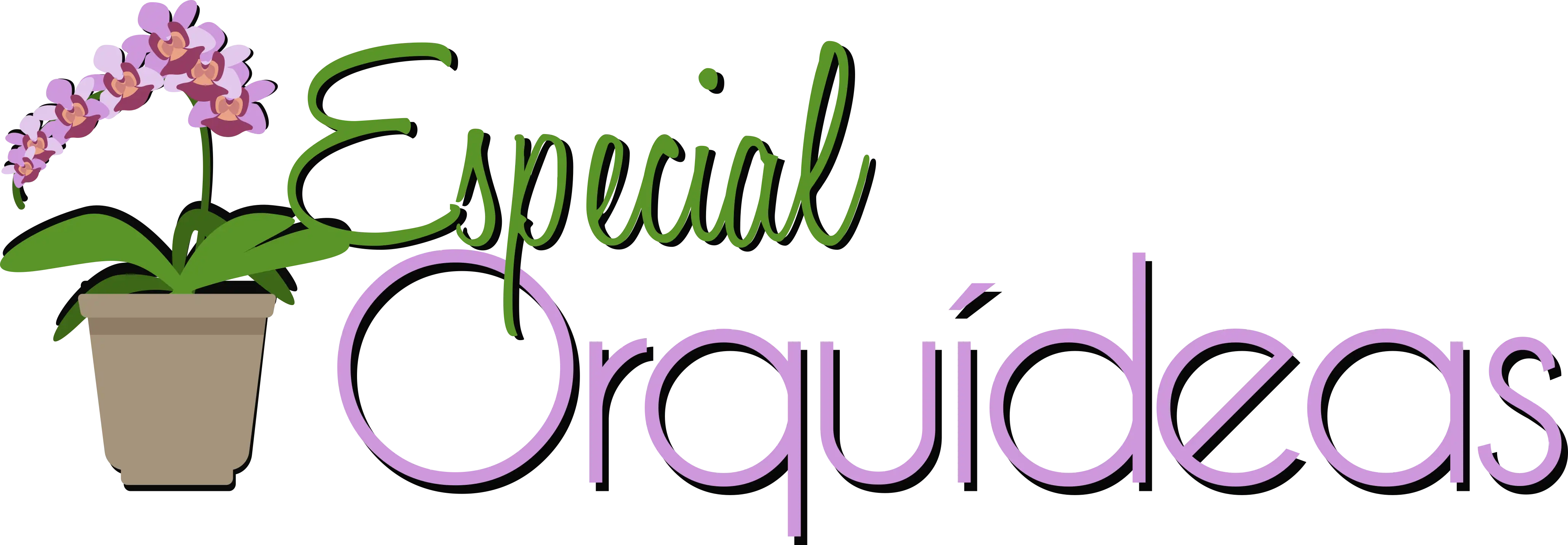 Especial Orquídeas
